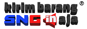 SNG Logistic Logo